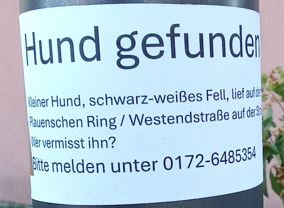 Hund