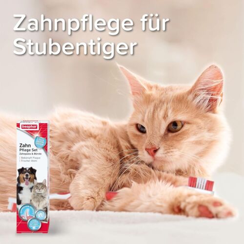 BEAPHAR Zahnpflege Set für Hunde Katzen Doppelkopfzahnbürste+Zahnpasta 100g Lebe - Bild 6 von 7