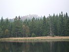 Steinhuebel02.jpg