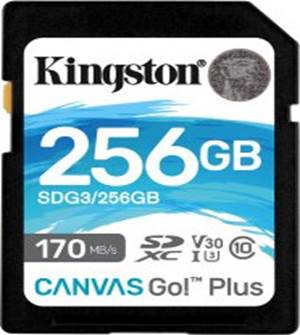 Canvas Go! Plus SDXC 256GB